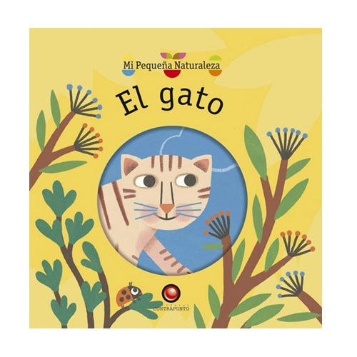 El gato