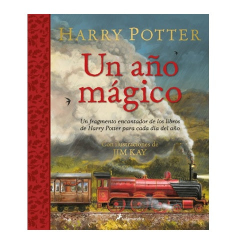 Harry Potter: un año mágico